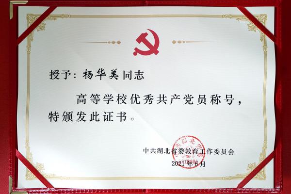 武昌理工学院一批先进集体和个人受到省委教育工委表彰 (图4)