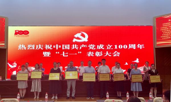 武昌理工学院隆重举行庆祝中国共产党成立100周年暨“七一”表彰大会 (图3)
